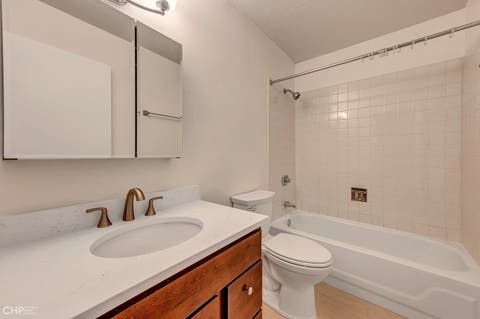 Tiny photo for 1115 S Plymouth Court #113, Chicago, IL 60605 (MLS # 12662868)