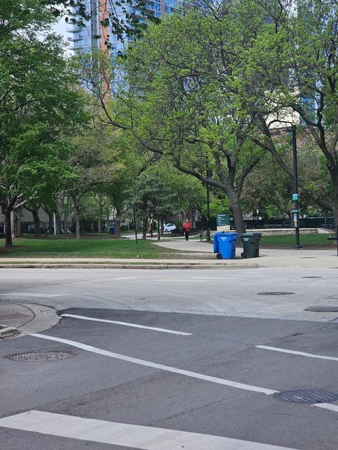 Tiny photo for 1115 S Plymouth Court #113, Chicago, IL 60605 (MLS # 12662868)