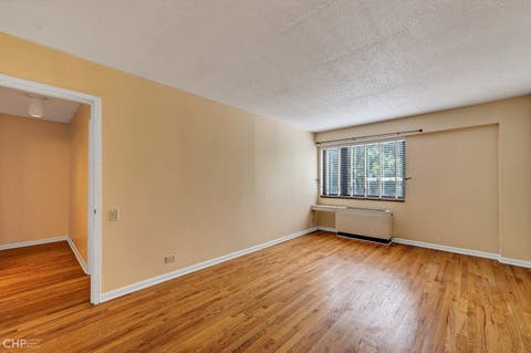 Tiny photo for 1115 S Plymouth Court #113, Chicago, IL 60605 (MLS # 12662868)