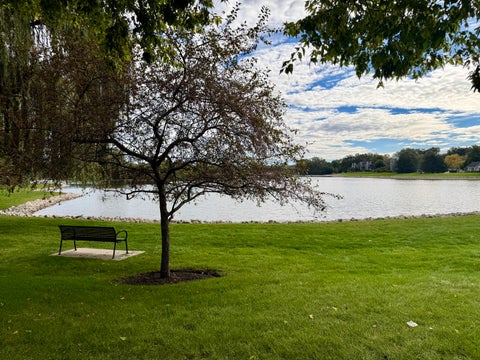 Tiny photo for 885 Stockbridge Place, Elgin, IL 60120 (MLS # 12773006)
