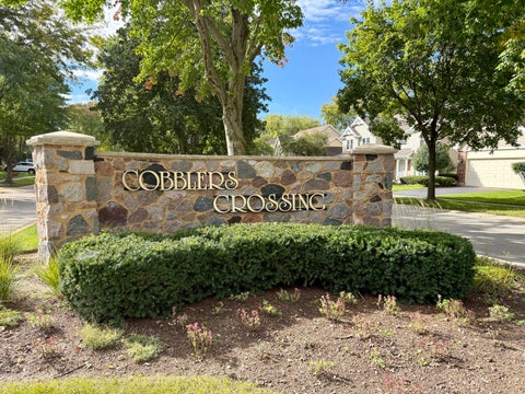 Tiny photo for 885 Stockbridge Place, Elgin, IL 60120 (MLS # 12773006)