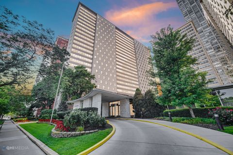 3950 N Lake Shore Drive 2016C Chicago IL 60613