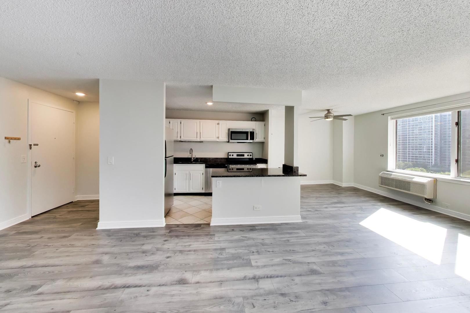 801 S Plymouth Court 1006
