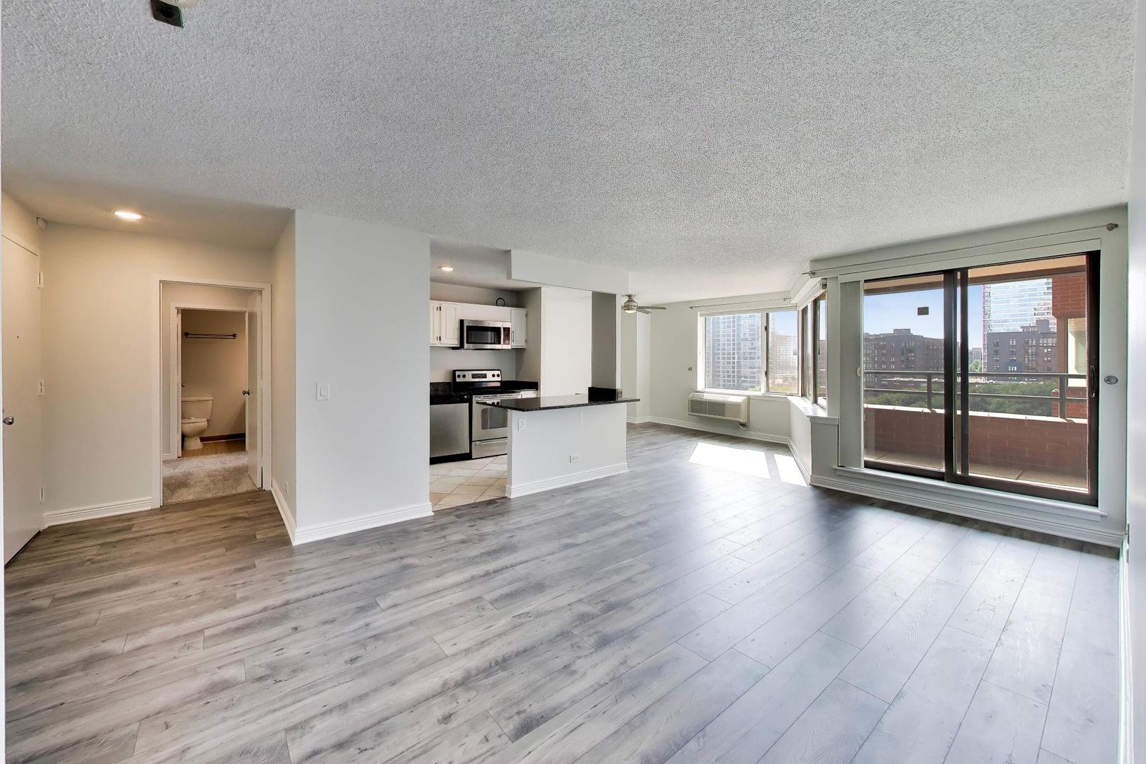 801 S Plymouth Court 1006