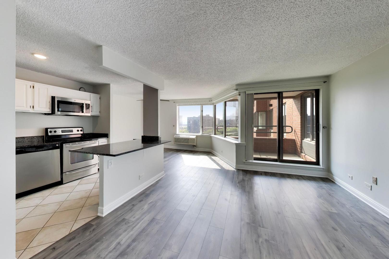 801 S Plymouth Court 1006