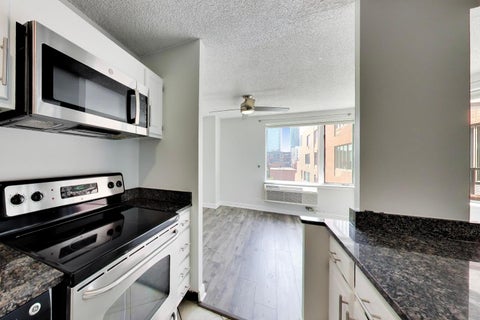 Tiny photo for 801 S Plymouth Court #1006, Chicago, IL 60605 (MLS # 12645717)