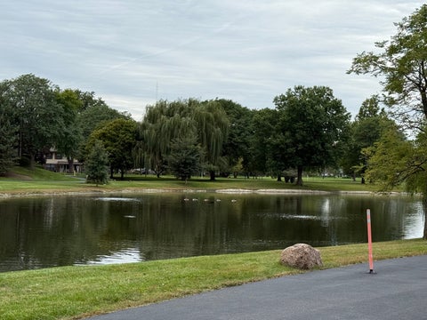 Tiny photo for 840 Wellington Avenue #103, Elk Grove Village, IL 60007 (MLS # 12769817)