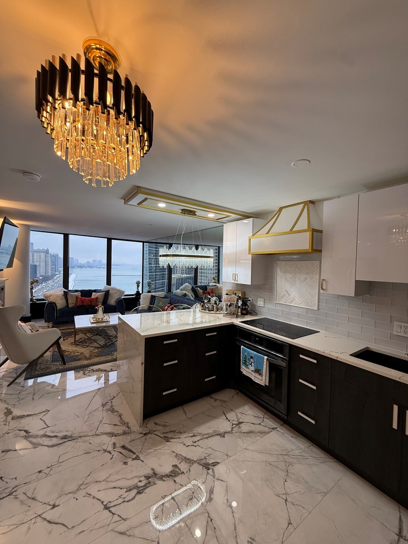 505 N Lake Shore Drive 2017