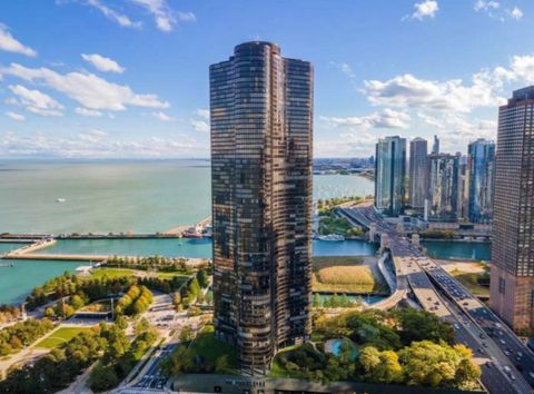 505 N Lake Shore Drive 2017 Chicago IL 60611