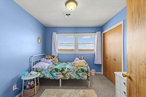 Tiny photo for 913 E 1st Street, Gibson City, IL 60936 (MLS # 12566431)