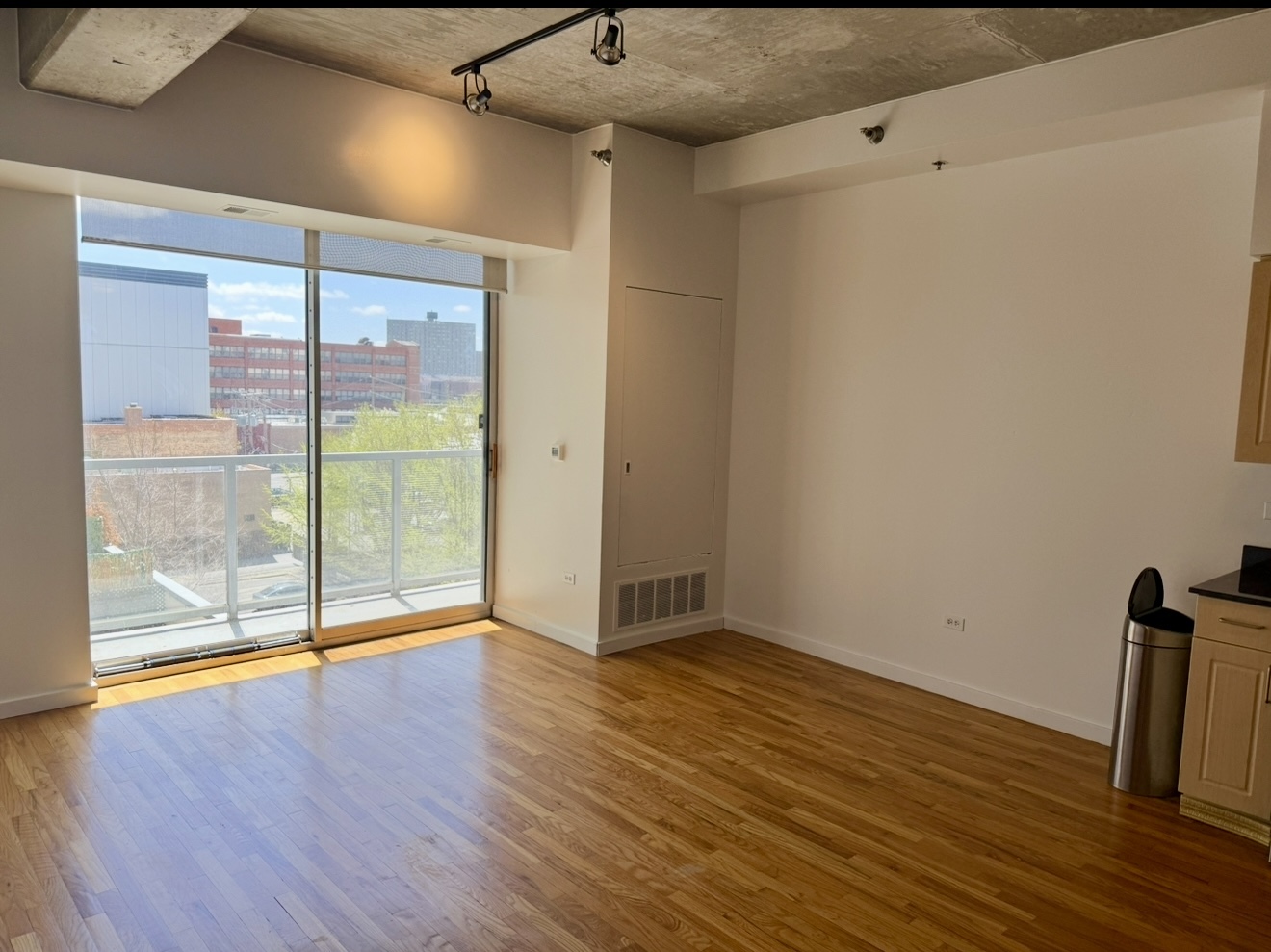 1620 S Michigan Avenue 424