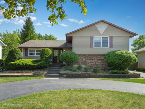 7723 W Jamison Drive Frankfort IL 60423