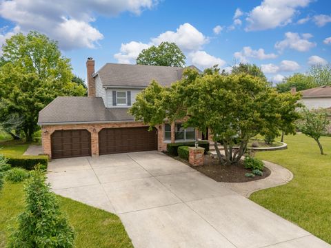 13045 Silver Fox Drive Lemont IL 60439