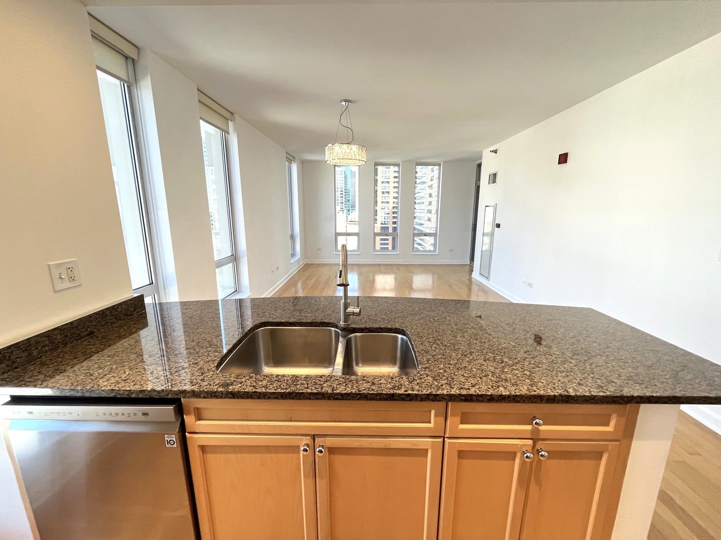 1250 S Michigan Avenue 1209