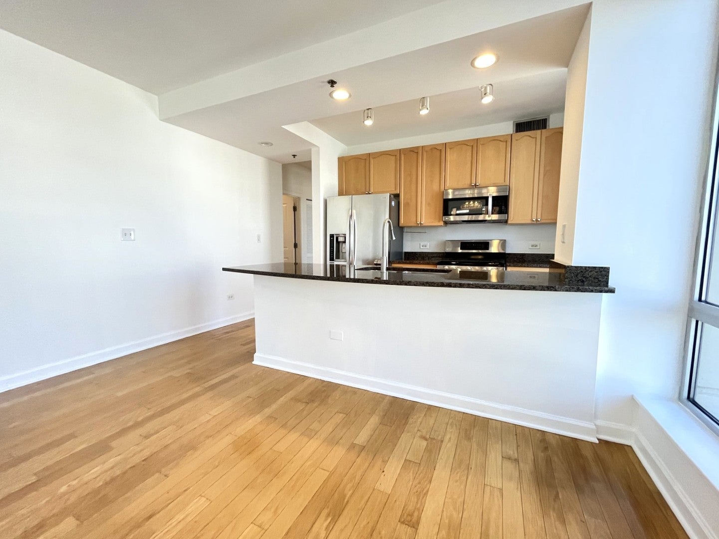 1250 S Michigan Avenue 1209
