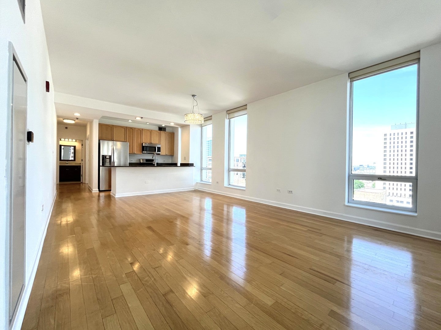 1250 S Michigan Avenue 1209