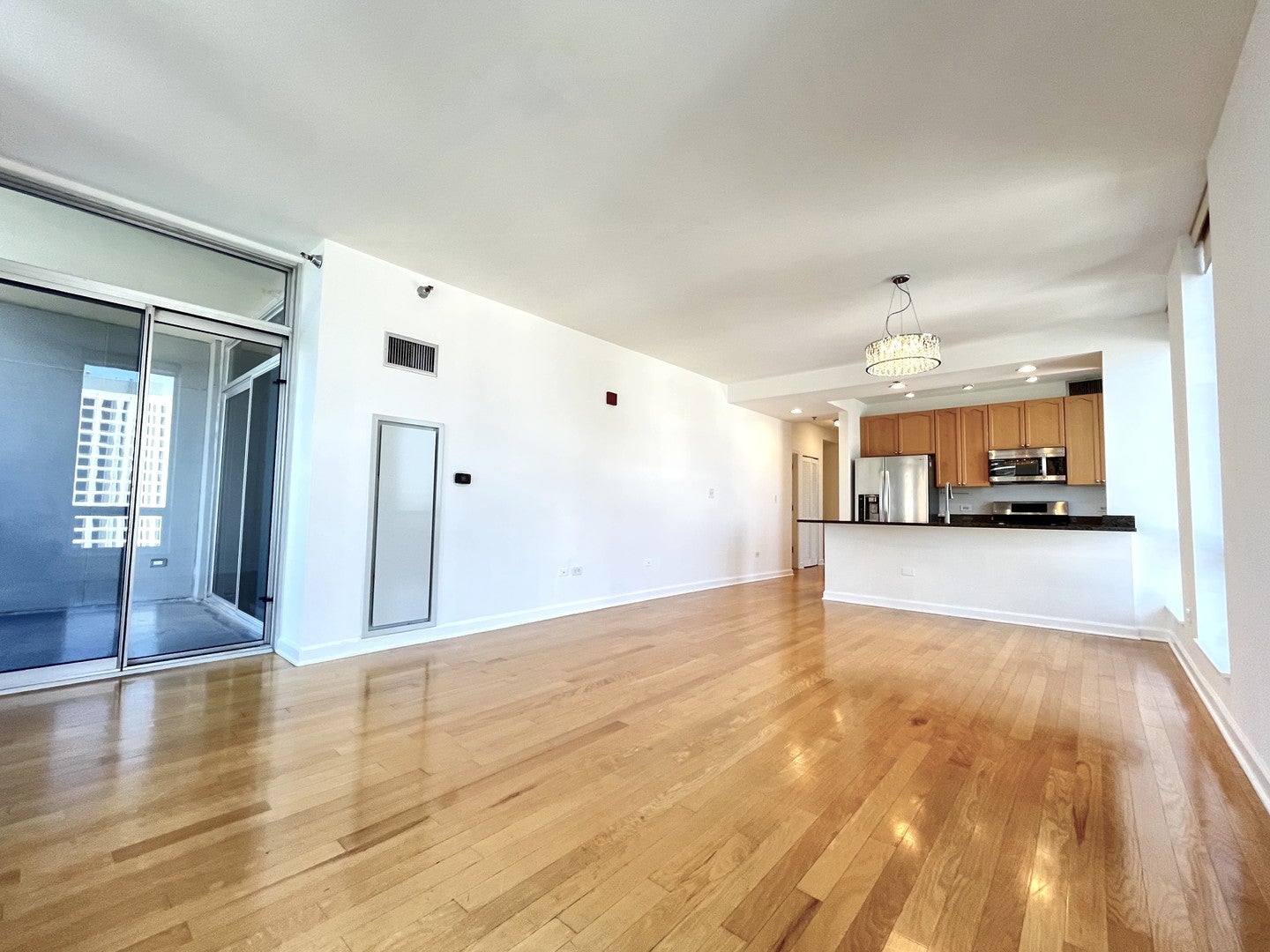 1250 S Michigan Avenue 1209