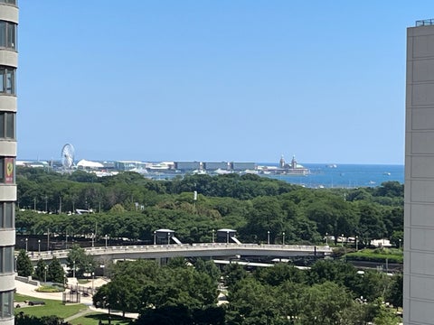 Tiny photo for 1250 S Michigan Avenue #1209, Chicago, IL 60605 (MLS # 12736200)