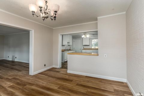 Tiny photo for 53 Private Road 1M Road, Desoto, IL 62924 (MLS # EB459478)