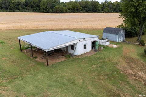 Tiny photo for 53 Private Road 1M Road, Desoto, IL 62924 (MLS # EB459478)