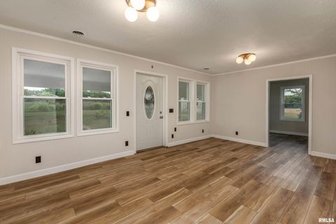 Tiny photo for 53 Private Road 1M Road, Desoto, IL 62924 (MLS # EB459478)