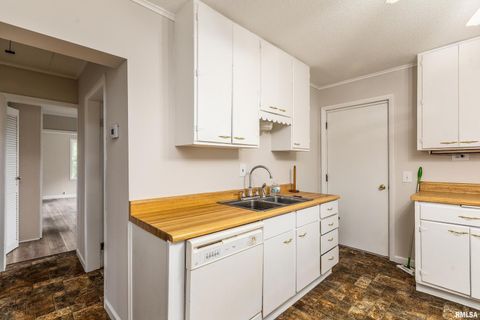 Tiny photo for 53 Private Road 1M Road, Desoto, IL 62924 (MLS # EB459478)