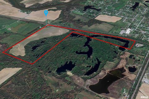 Tiny photo for 53 Private Road 1M Road, Desoto, IL 62924 (MLS # EB459478)