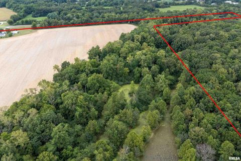 Tiny photo for 53 Private Road 1M Road, Desoto, IL 62924 (MLS # EB459478)