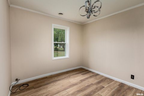 Tiny photo for 53 Private Road 1M Road, Desoto, IL 62924 (MLS # EB459478)