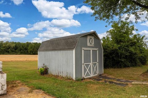 Tiny photo for 53 Private Road 1M Road, Desoto, IL 62924 (MLS # EB459478)