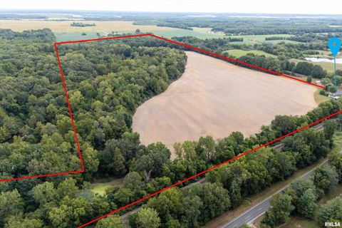 Tiny photo for 53 Private Road 1M Road, Desoto, IL 62924 (MLS # EB459478)