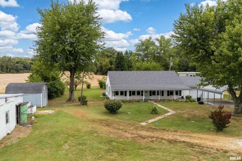 Tiny photo for 53 Private Road 1M Road, Desoto, IL 62924 (MLS # EB459478)