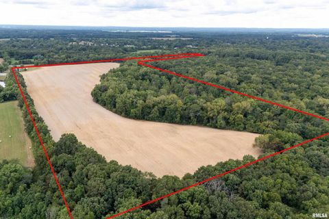 Tiny photo for 53 Private Road 1M Road, Desoto, IL 62924 (MLS # EB459478)