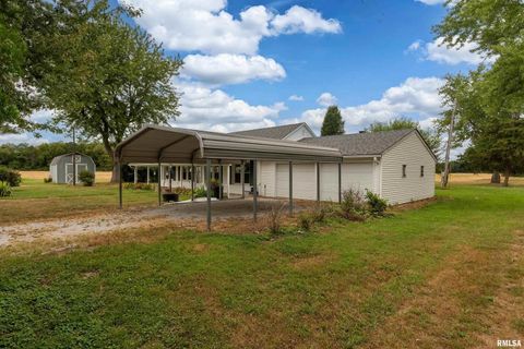 Tiny photo for 53 Private Road 1M Road, Desoto, IL 62924 (MLS # EB459478)