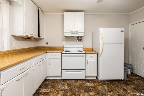 Tiny photo for 53 Private Road 1M Road, Desoto, IL 62924 (MLS # EB459478)