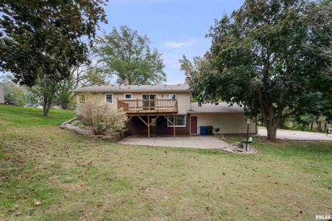 Tiny photo for 4836 W PLEASANT Street, Davenport, IA 52804 (MLS # QC4268637)