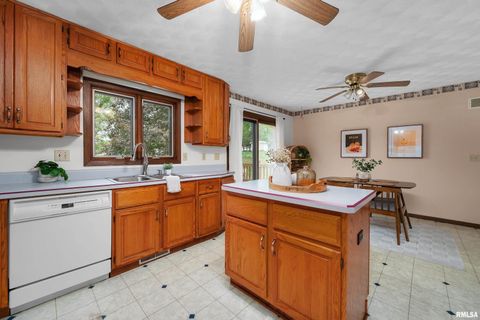 Tiny photo for 4836 W PLEASANT Street, Davenport, IA 52804 (MLS # QC4268637)