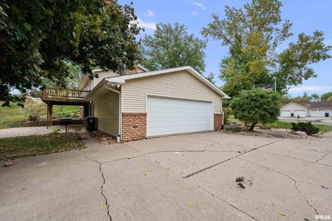 Tiny photo for 4836 W PLEASANT Street, Davenport, IA 52804 (MLS # QC4268637)