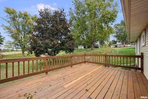 Tiny photo for 4836 W PLEASANT Street, Davenport, IA 52804 (MLS # QC4268637)