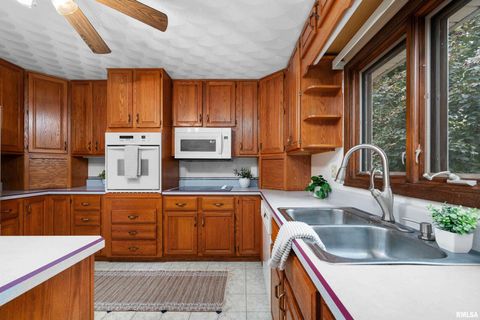 Tiny photo for 4836 W PLEASANT Street, Davenport, IA 52804 (MLS # QC4268637)