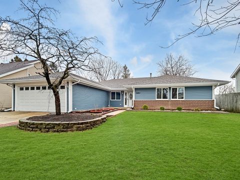 1180 Hialeah Lane Hanover Park IL 60133