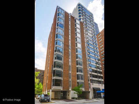 227 E Walton Place 3W Chicago IL 60611