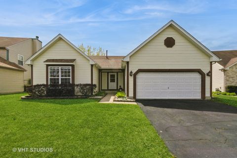 7 N Brittany Lane Hainesville IL 60030