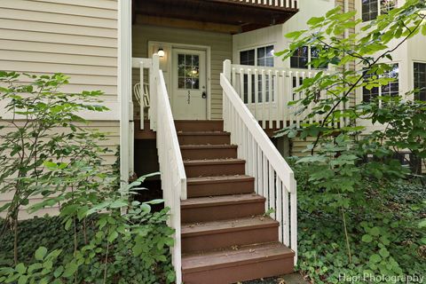 337 W Treehouse Lane 11-2 Round Lake IL 60073