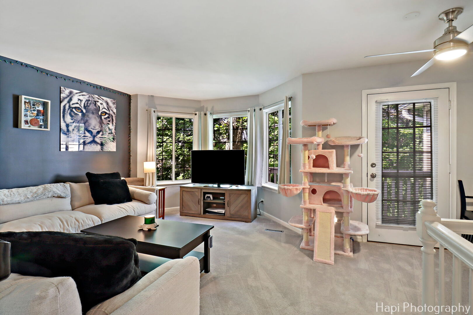 337 W Treehouse Lane 11-2