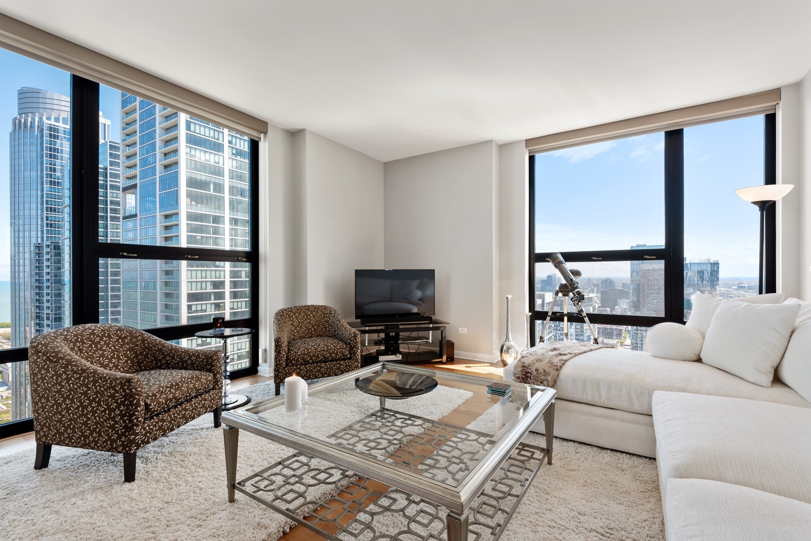 1160 S Michigan Avenue 4501