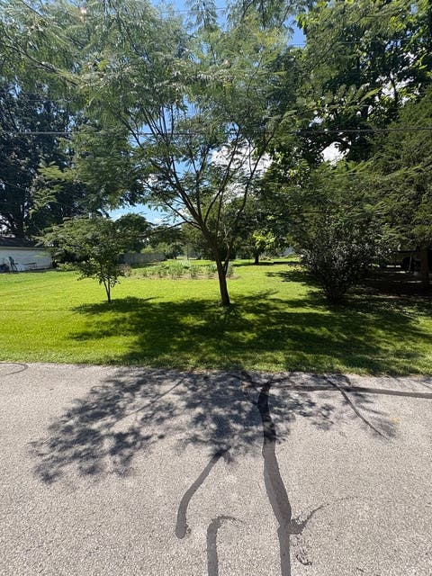 Tiny photo for 709 N Locust Street, Sesser, IL 62884 (MLS # 12708057)