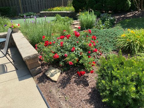 Tiny photo for 710 Braewood Drive, Algonquin, IL 60102 (MLS # 12523495)