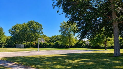 Tiny photo for 38 N Bermuda Colony #6, Fox Lake, IL 60020 (MLS # 12782449)
