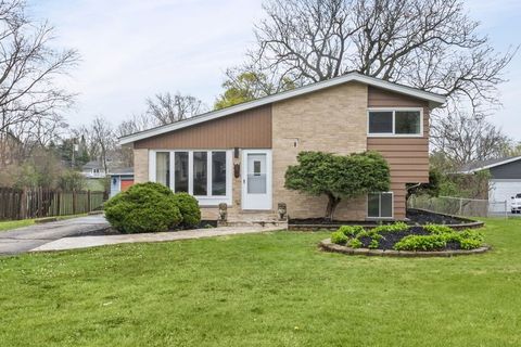 Photo of 1N605 Park Boulevard, Glen Ellyn, IL 60137 (MLS # 12619381)